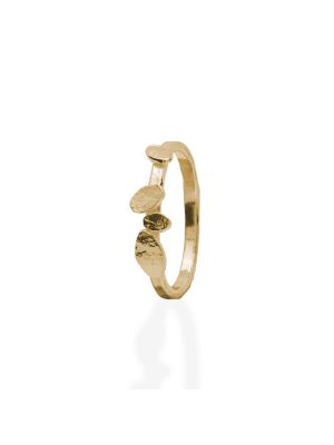 18 Kt gouden ONNO ring | R0412AUG | small image 